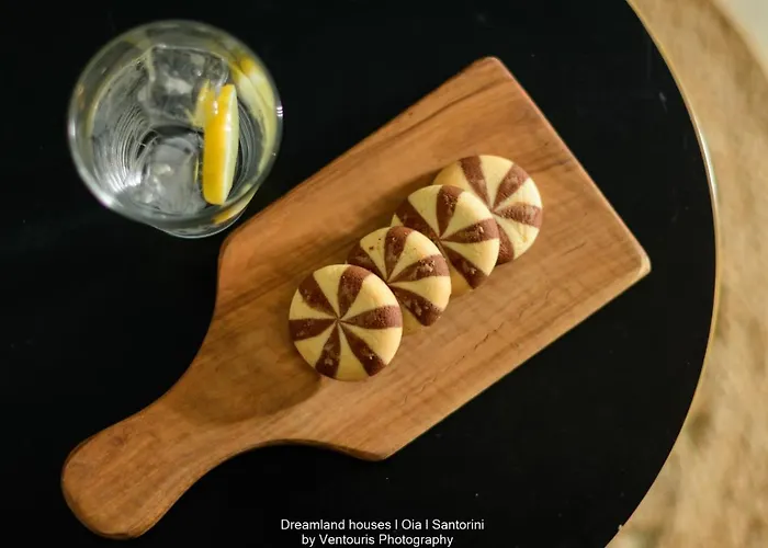 드림랜드 하우스 *