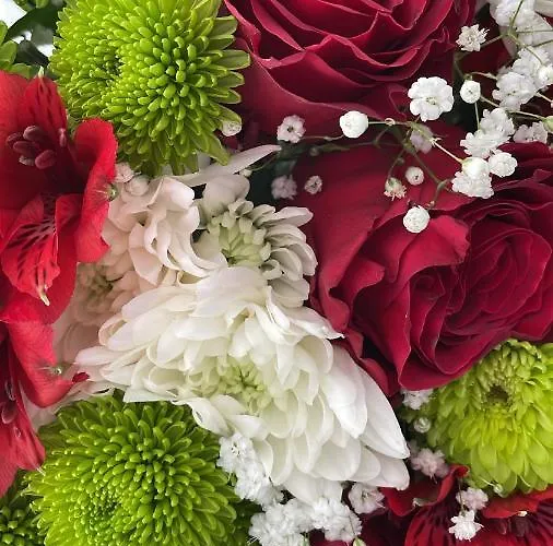 아파트 드림랜드 하우스 *